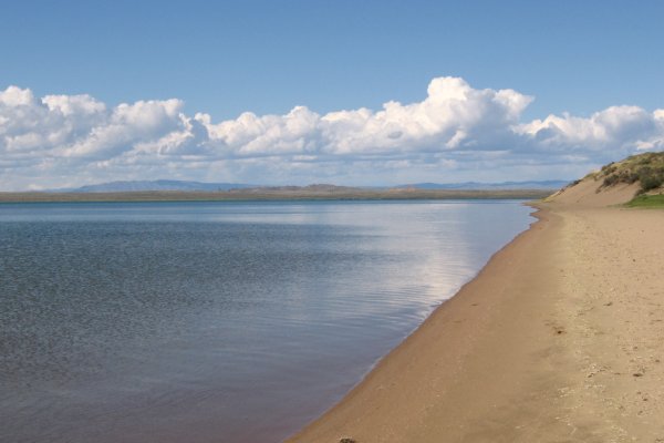 Блэкспрут зеркало кракен