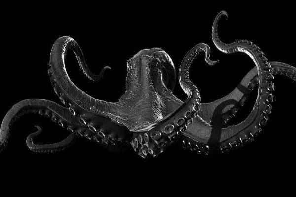 Kraken19 at